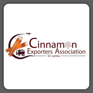 logo-Best-Creations-DGedits-30